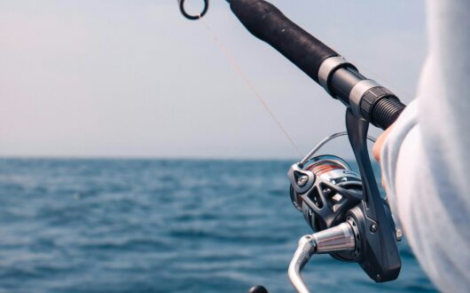 mathieu-le-roux-6_HqvY1E7NI-unsplash