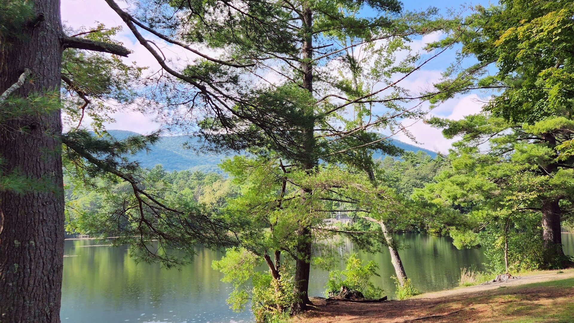 brian-urso-B6u_w_wvwGw-unsplash